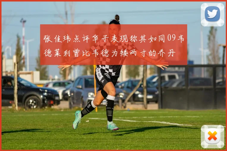 张佳玮点评华子表现称其如同09韦德莱利曾比韦德为矮两寸的乔丹